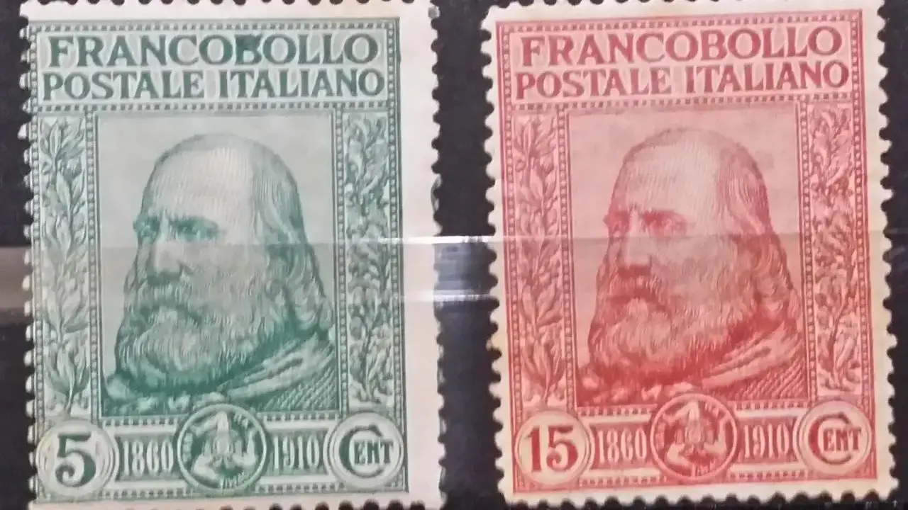 Immagine selezionata