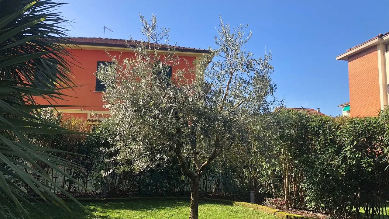 SC - pacciamatura naturale orto