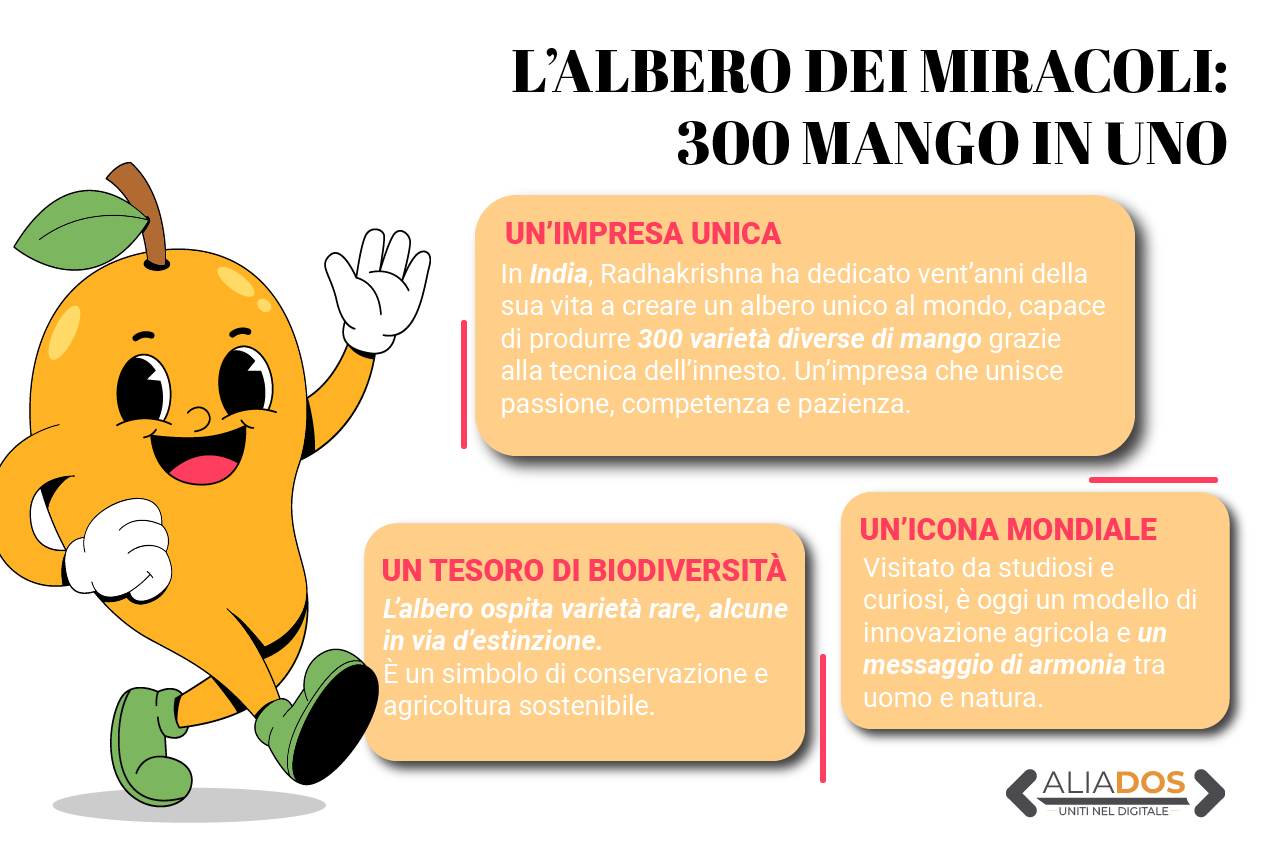 Immagine selezionata